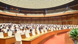 Dự án Luật Đấu thầu (sửa đổi) phải bảo đảm thống nhất với các luật có liên quan
