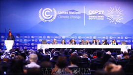 COP27: Việt Nam nhấn mạnh vai trò của chuyển đổi năng lượng trong chống biến đổi khí hậu