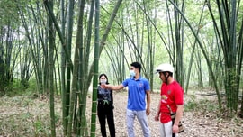Cây mét “nâng đời” dân miền Tây xứ Nghệ
