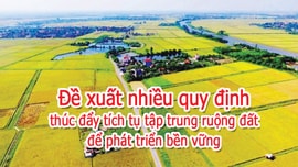 Infographic: Đề xuất nhiều quy định thúc đẩy tích tụ tập trung ruộng đất để phát triển bền vững
