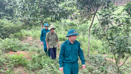 Bảo vệ tài nguyên, khoáng sản ở Quảng Ninh: Phát huy vai trò “người uy tín”