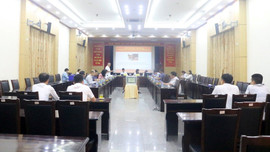 Đấu giá quyền khai thác khoáng sản hai mỏ đá tại Nghệ An và Ninh Thuận