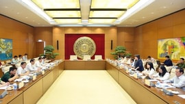 BHXH tự nguyện đã đạt mục tiêu đến năm 2025