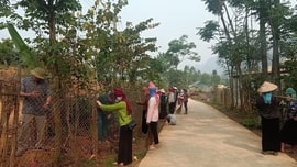 Đất đã hiến có đòi lại được không?