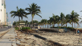 Đà Nẵng: Bảo vệ hành lang bờ biển trước BĐKH