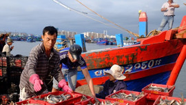 Việt Nam cam kết bảo vệ, khai thác bền vững nguồn lợi thủy sản và bảo vệ đại dương 