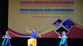 Bình Định: Giao lưu nghệ thuật múa cổ điển Ấn Độ