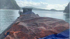 Quảng Ninh: Bắt giữ tàu vận chuyển hơn 100 tấn than trái phép