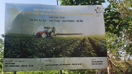 Tập đoàn GFS: Gây lãng phí tài nguyên, trách nhiệm thuộc về ai? Bài 3: Thuê đất thuộc hành lang thoát lũ tận 20 năm