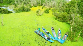 Về với Tràm Chim