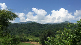 Điện Biên: Chính sách chi trả dịch vụ môi trường rừng đóng góp vào sự phát triển kinh tế 