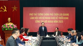 Phó Thủ tướng Trần Lưu Quang làm việc với Bộ Ngoại giao