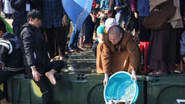 Nghệ An: Chùa Viên Quang phóng sinh 10 tấn cá xuống sông Lam