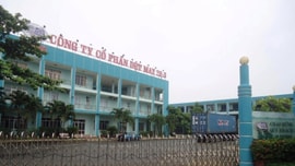 Đà Nẵng sẽ thanh tra 35 đơn vị trong lĩnh vực tài nguyên và môi trường