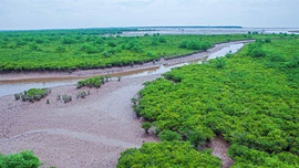 Nam Định: Hưởng ứng Ngày Đất ngập nước Thế giới năm 2023