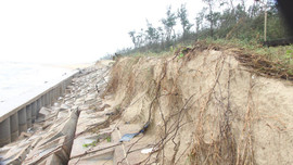 Quảng Nam: Sóng lớn đánh sập kè cứng, dân lo sợ làng bị “xoá sổ”