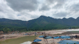 Quảng Nam: Dẹp nạn khai thác trái phép ở mỏ vàng lớn nhất cả nước