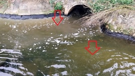 Thông tin tiếp “Nhà máy xử lý nước thải Vinh xả thải đục ngầu ra môi trường”: Do hệ thống vận hành gặp sự cố?