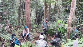 Thừa Thiên – Huế: Thoát nghèo nhờ làm tốt công tác bảo vệ rừng