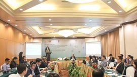 Tiềm năng phát triển về năng lượng Hydro xanh tại Việt Nam