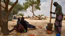 Niger tham gia thỏa thuận chia sẻ nước xuyên biên giới quan trọng của Liên Hợp Quốc