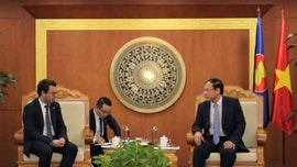 Bộ TN&MT đề nghị CHLB Đức hỗ trợ Việt Nam chuyển đổi năng lượng