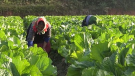Sức sống mới ở Nậm Khắt