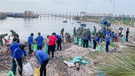 Quản lý, BVMT ở Bình Thuận: Hướng tới mục tiêu phát triển nhanh, xanh, bền vững