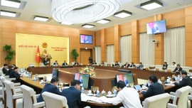 Đấu thầu lựa chọn nhà đầu tư dự án có sử dụng đất: Đề nghị xử lý các tồn tại, vướng mắc trong Luật Đấu thầu, Luật Đầu tư và Luật Đất đai (sửa đổi)

