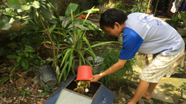Thanh Hóa: Tập huấn xử lý rác thải hữu cơ cho hội viên nông dân