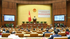 Khẳng định vị trí, vai trò của ngành tư pháp đáp ứng tốt hơn yêu cầu đòi hỏi trong giai đoạn mới