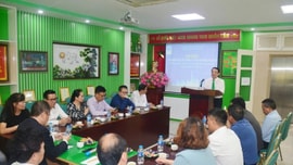 Nhanh chóng đưa xe điện vào thử nghiệm vận tải taxi