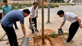 Yên Bình (Yên Bái): Ra quân hưởng ứng Đề án trồng một tỷ cây xanh 