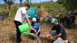 Quảng Trị: Khởi động Dự án trồng và phục hồi rừng đầu nguồn sông Thạch Hãn