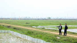 Ninh Bình: Chậm thu hồi, đền bù để GPMB dự án xây dựng tuyến đường Đông - Tây