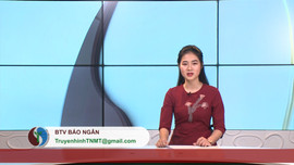 Bản tin Truyền hình Tài nguyên và Môi trường số 47 năm 2019 (số 113)