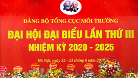 Đại hội đại biểu Đảng bộ Tổng cục Môi trường nhiệm kỳ 2020 – 2025