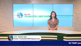 Bản tin truyền hình Tài nguyên và Môi trường số 17/2021 (số 184)