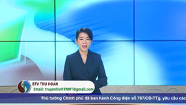 Bản tin truyền hình Tài nguyên và Môi trường số 53/2021 (số 220)