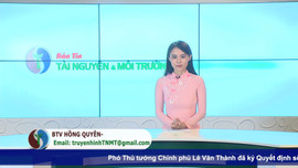Bản tin truyền hình Tài nguyên và Môi trường số16/2022 (số 236)