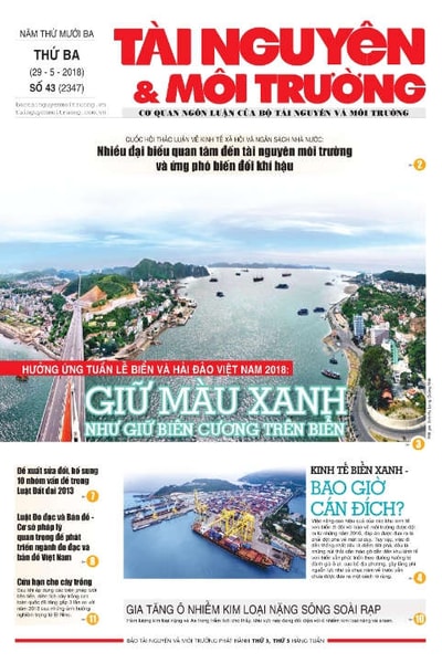 Số 43 - 2019