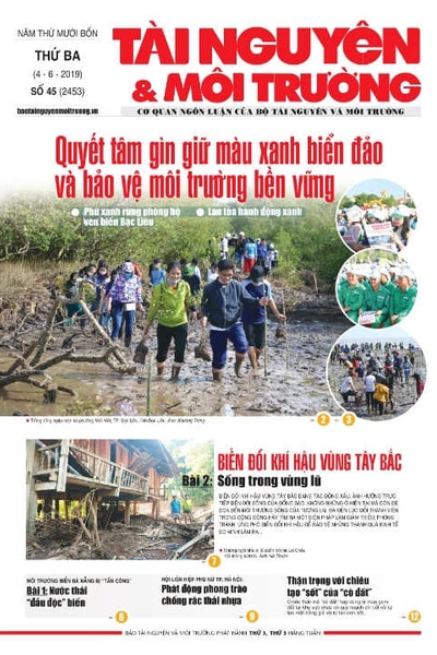 Số 45 - 2019