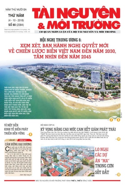 Số 80 - 2019