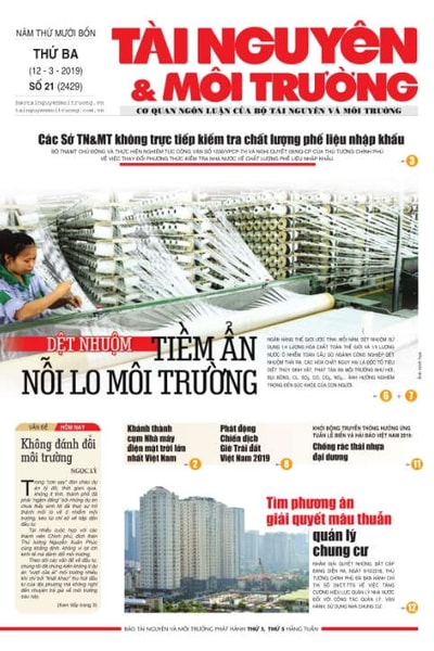 Số 21 - 2019