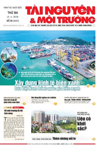 Số 29 - 2019
