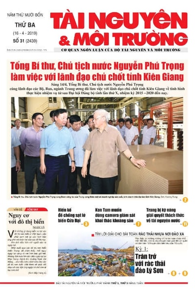 Số 31 - 2019