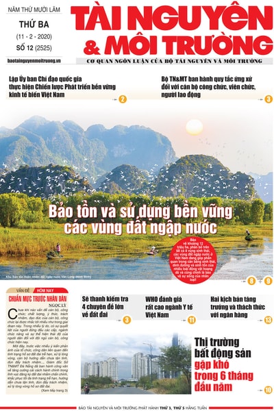 Số 12 - 2020