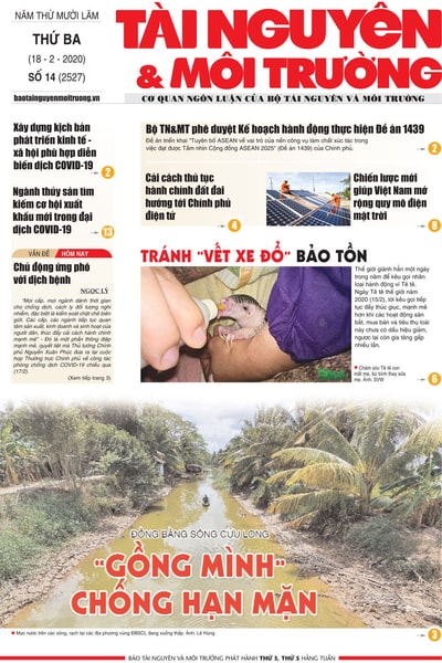 Số 14