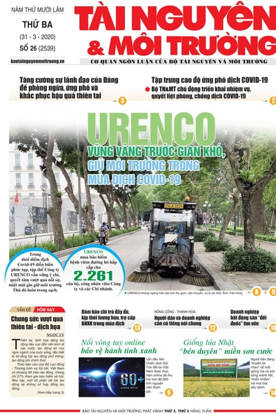 Số 26