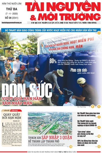 Số 28